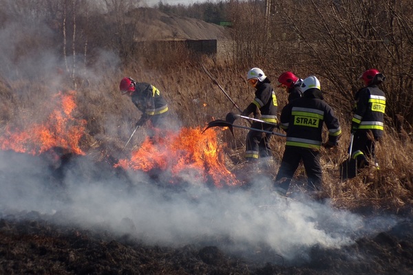 Straż pożarna podczas akcji gaszenia pożaru traw