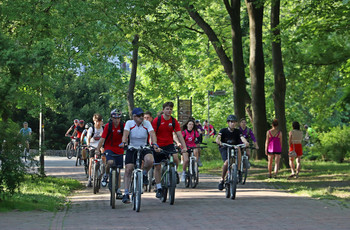 Grupa rowerzystów jedzie na jednośladach po alejce parkowej