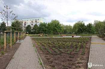 Nowy park kieszonkowy. Na pierwszym planie krzewy, po lewej stronie drzewa posadzone przy ogrodzeniu. Na drugim planie ławki, drzewa i bloki mieszkalne.