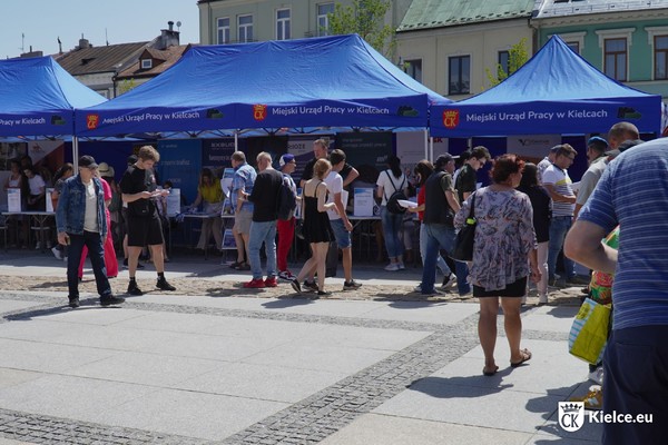 Targi pracy na kieleckim Rynku, kilkanaście osób przy stoiskach