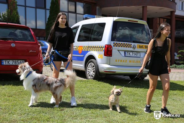 Dwie młode kobiety prowadzą psy na smyczach. W tle samochód Straży Miejskiej.
