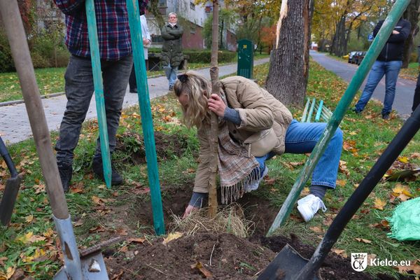 mieszkańcy ul. Kostki sadzą nowe drzewa