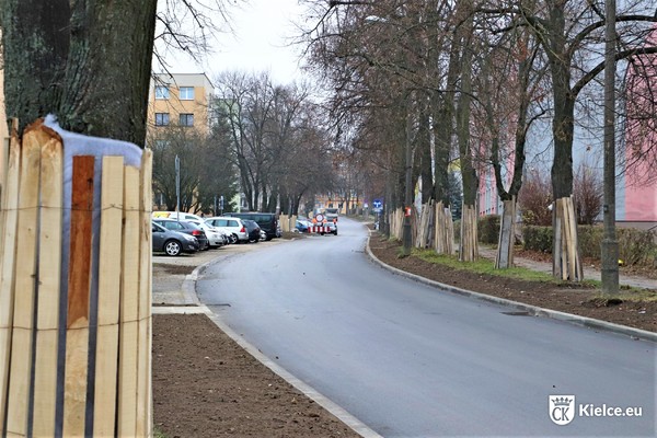 Ulica Lecha, po lewej stronie zaparkowane samochody, po prawej stronie drzewa