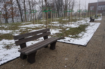 Ekologiczne ławeczki w Parku Kielczan