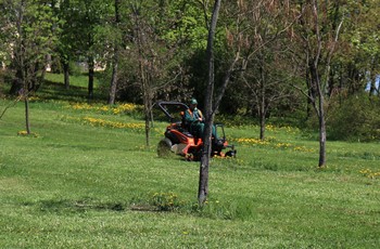 Rozpoczyna się pierwsze wiosenne koszenie traw w Kielcach