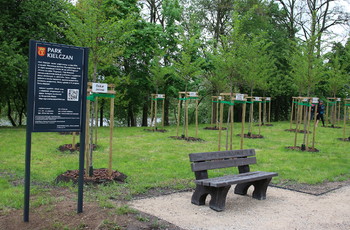 Drzewa w Parku Kielczan mają swoje imiona