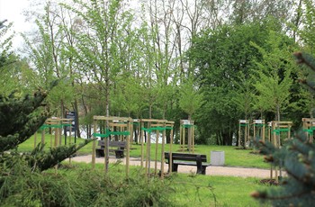 Drzewa w Parku Kielczan mają swoje imiona