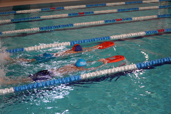 Zdjęcie przedstawia uczniów pływających w basenie z pomocą deski