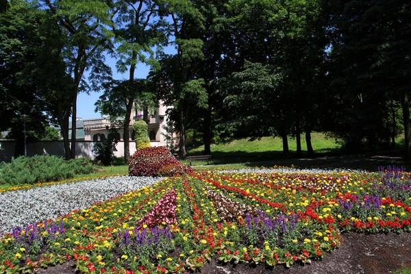 Figura pawia w Parku Miejskim znów obrośnie w kolorowe, kwiatowe pióra