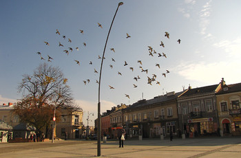 Północno-wschodni róg Rynku - ulica Bodzentyńska oraz figura św. Tekli