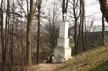Pomnik poświęcony straconym tu powstańcom styczniowym (od północnej strony).
