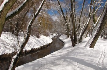 Rzeka Silnica